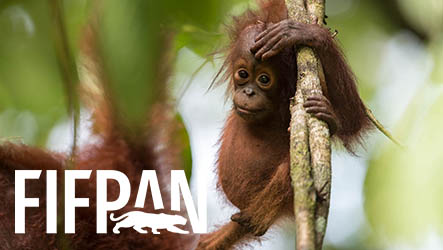 Festival International du Film et de la Photographie Animalière et de Nature (FIFPAN)